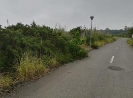 Vecinos de Santa Marina de Piedramuelle denuncian abandono 