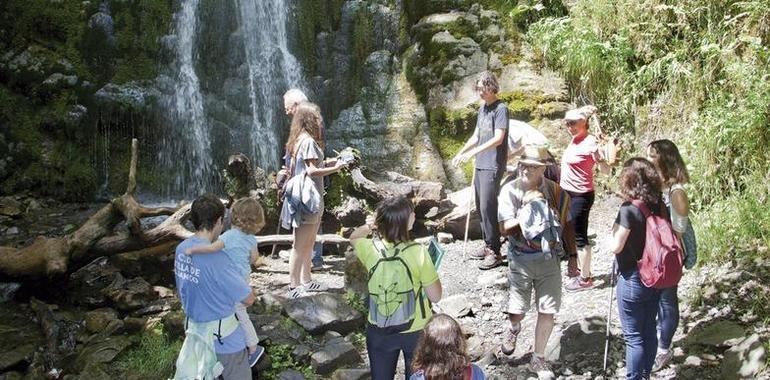 Aller oferta visitas guiadas durante el verano
