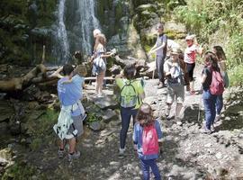 Aller oferta visitas guiadas durante el verano