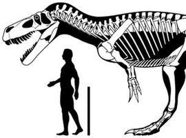 Los mayores dinosaurios carnívoros europeos fueron asturianos