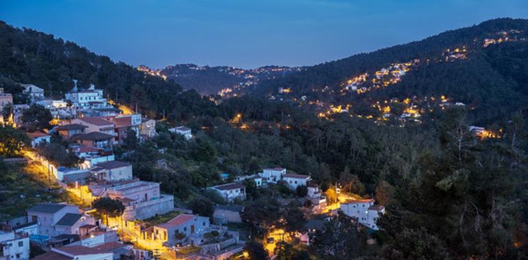 Greenpeace y Scouts de España:  ‘Protege el bosque, protege tu casa’