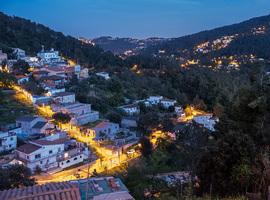 Greenpeace y Scouts de España:  ‘Protege el bosque, protege tu casa’