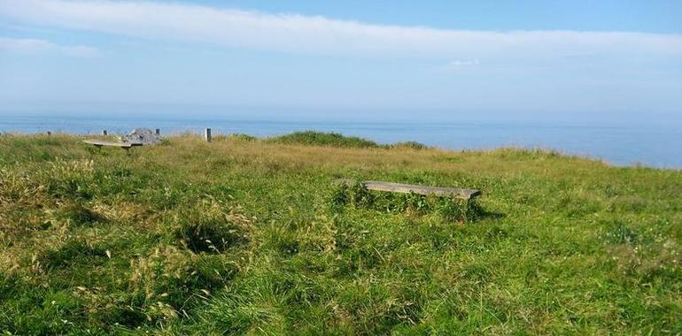 Gijón: Ciudadanos pide adecentar la senda del Cervigón