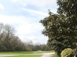 Ciudadanos pide al Principado apoyo a la actividad científica en el Jardín Botánico