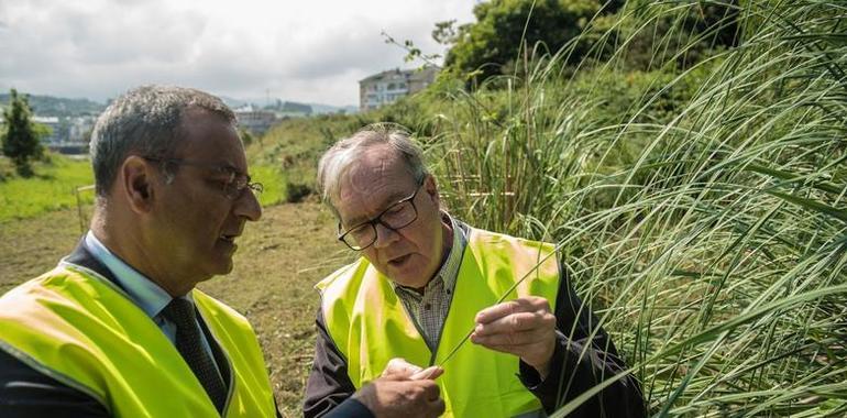 Asturias declara la guerra total al plumeru de la Pampa