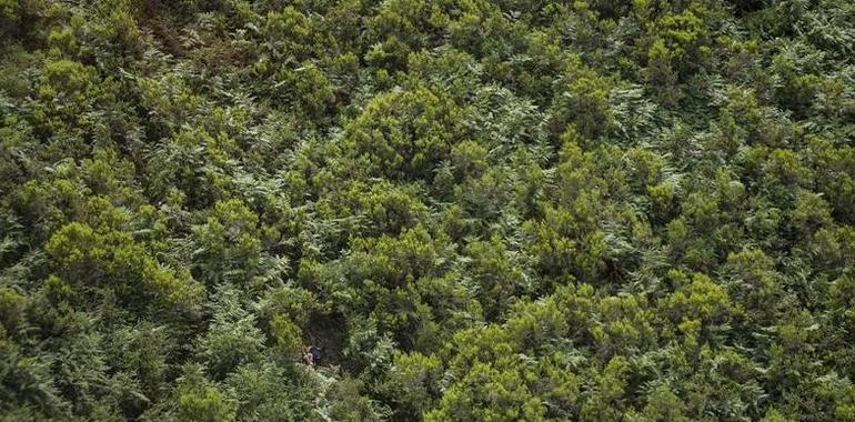 El SEPA rescata a cinco neñ@s y dos adultos en Ruedes, Peñamellera Alta
