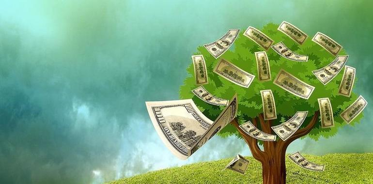  ¿Por qué es cada vez más fácil conseguir un microcrédito