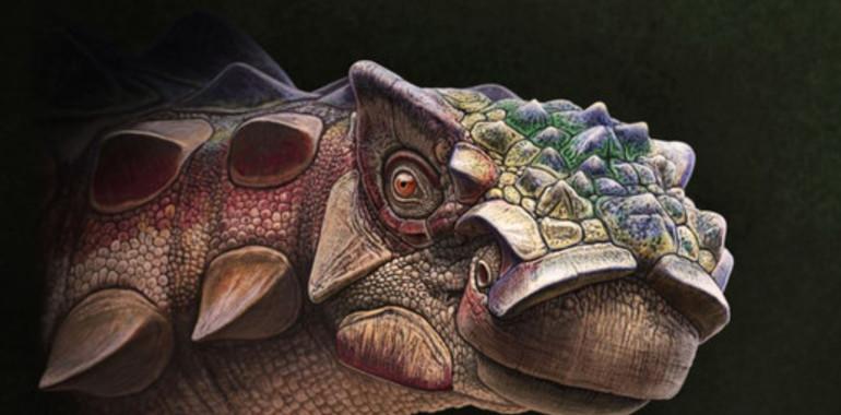 Hallada una nueva especie de dinosaurio con armadura