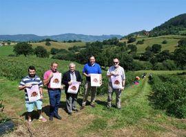 Villaviciosa: Festival del Arándano y Frutos Rojos de Asturias “Berry Festival”