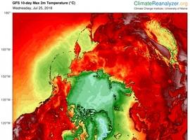 Olas de calor e incendios en todo el mundo