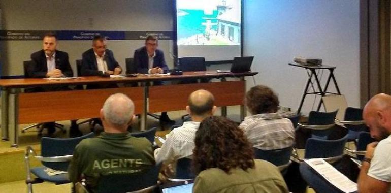 El censo en Asturias y Cordillera Cantábrica es de sólo 41 osas con 73 crías 