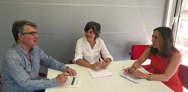 Arquitectos, aparejadores y promotores reclaman que Oviedo agilice las licencias