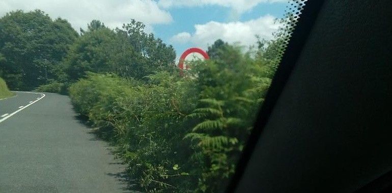 IU juzga vergonzoso que las carreteras asturianas estén sin desbrozar