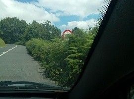 IU juzga vergonzoso que las carreteras asturianas estén sin desbrozar