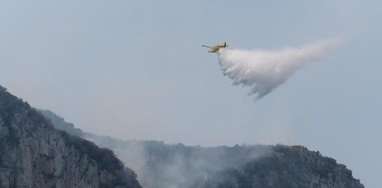 Llutxent-Gandía: Greenpeace reclama mayor planificación en incendios 