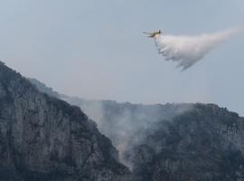 Llutxent-Gandía: Greenpeace reclama mayor planificación en incendios 