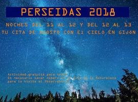 Las Perseidas: guía de disfrute y seguridad 