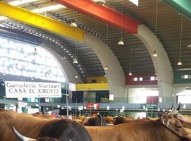 El certamen de San Agustín dedica el lunes a la Caja Rural de Asturias