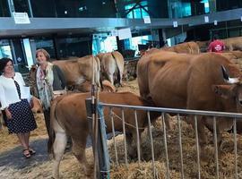 Asturias doblará las ayudas a la incorporación de jóvenes al campo