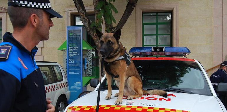 Policías con olfato