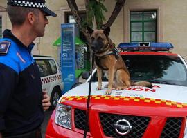 Policías con olfato