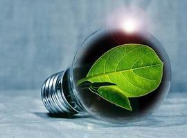 La nueva compañía Podo apuesta por la luz verde