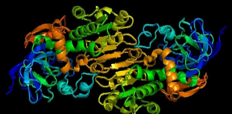 Cuando el sapiens perdió la proteína que evita la gota