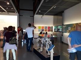 Más de 15 mil amigos del oso en la expo de Gijón