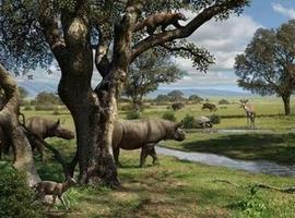 Clima y competencia limitaron la biodiversidad de mamíferos en la Península 