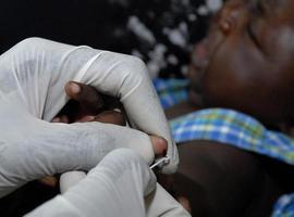 Más cerca de la primera vacuna contra la malaria