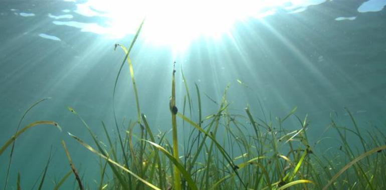 El Ártico intenta compensar la destrucción de Tierra por emisiones de carbono