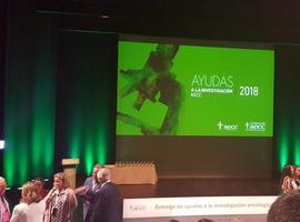 AECC adjudica 160 ayudas para investigar el cáncer por un total de 17,6M€