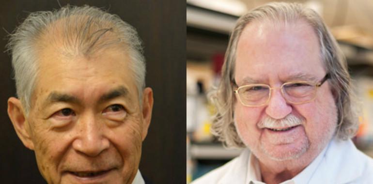 El Nobel de Medicina a la inmunoterapia contra el cáncer