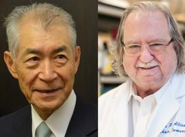 El Nobel de Medicina a la inmunoterapia contra el cáncer