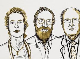 Nobel de Química para los ‘directores’ de la evolución proteica