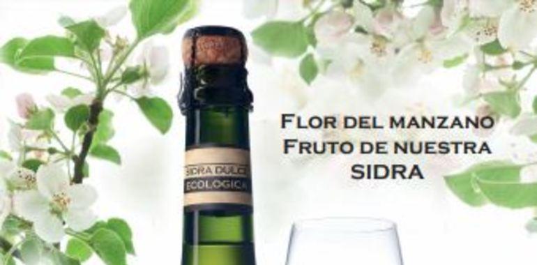 Mayador lanza una nueva sidra dulce ecológica
