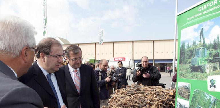 CyL instalará 350 calderas de biomasa en centros públicos