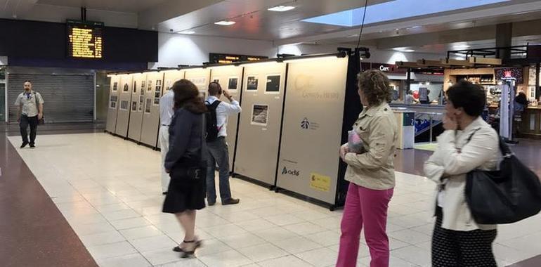 Renfe programa casi 900 plazas extra en los servicios a Madrid durante el puente de octubre