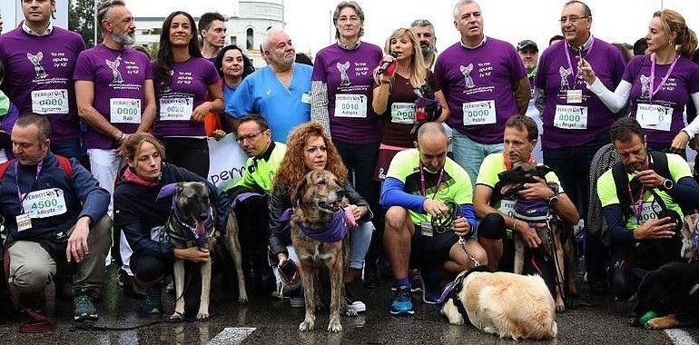 Premios a los perros más perrotones