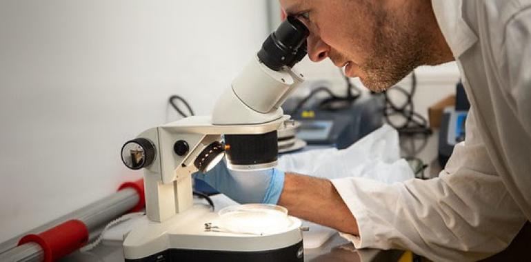 Más del 90% de las marcas de sal que comemos contienen microplásticos