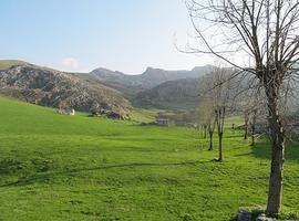 La Sociedad regional de Turismo libera 2.700 fotos de Asturias en internet
