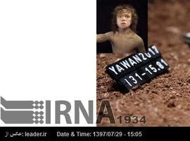 Hallado el primer diente de un neandertal en Irán