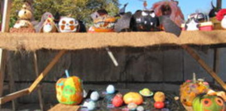 El Jardín Botánico convoca su VII Concurso de calabazas