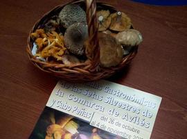 IV jornadas gastronómicas de las setas silvestres de otoño en Avilés