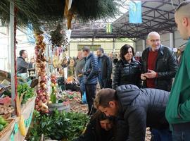 Desarrollo Rural invierte 738.000 € en infraestructura forestal y agraria en Allande