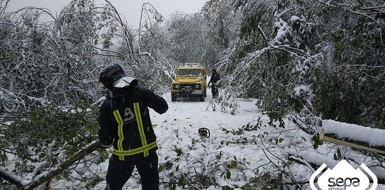 7.500 hogares permanecen aún sin luz en Asturias