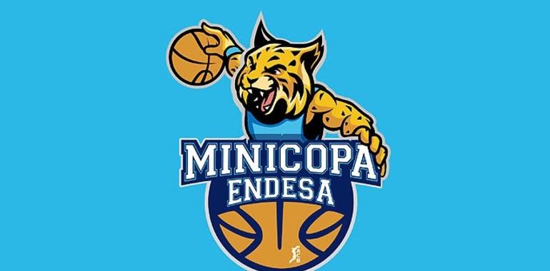 La Minicopa Endesa 2019 busca este jueves a su anfitrión