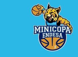 La Minicopa Endesa 2019 busca este jueves a su anfitrión