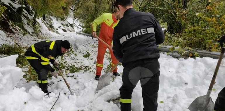 Recuperados el suministro eléctrico y la telefonía dañados por el temporal