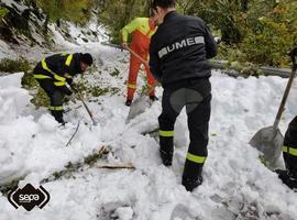 Recuperados el suministro eléctrico y la telefonía dañados por el temporal